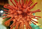 Vaccines for Sars-Cov-2