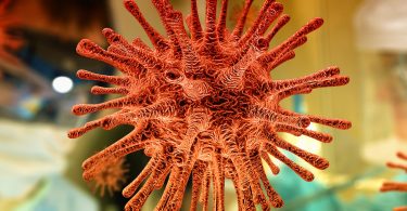 Vaccines for Sars-Cov-2